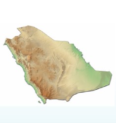 المملكة العربية السعودية